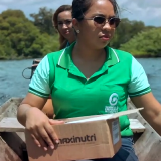 Imagem ilustrativa da seção